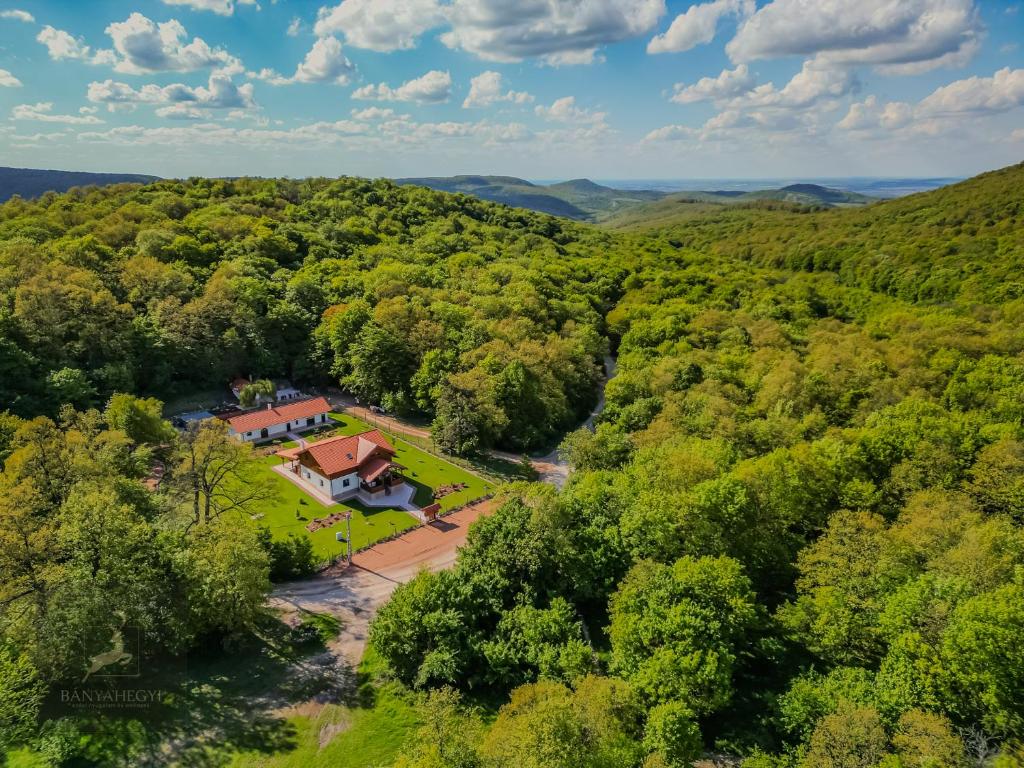 Peisaj natural din apropierea acestui B&B