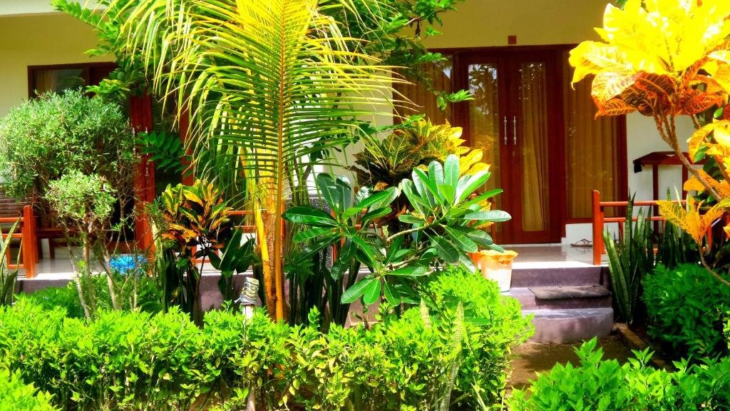 Zahrada ubytování Bias Bungalows
