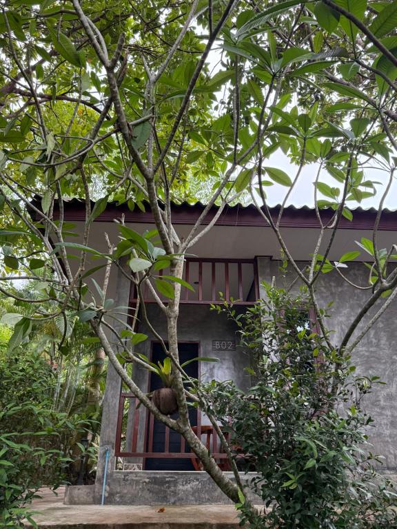 Siam Lanta Resort - SHA Extra Plus - 1