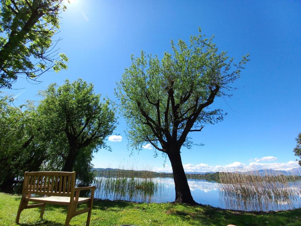 Příroda nedaleko apartmánu
