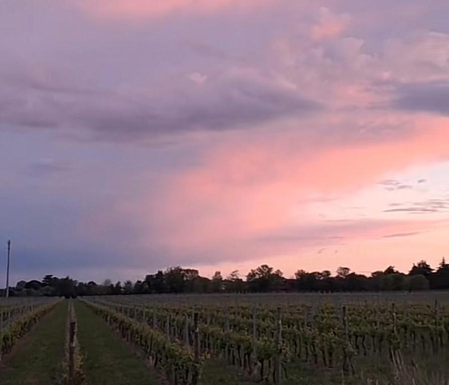 Foto dalla galleria di Le Tre Betulle a Bossolasco