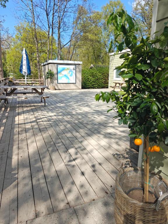 Zahrada ubytování Frederiksværk Camping & Hostel