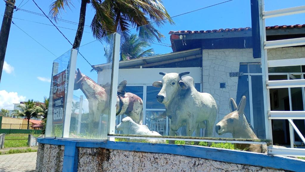 Una exhibición de ovejas en una ventana de un edificio. en Pousada do Vaqueiro, en Peruíbe