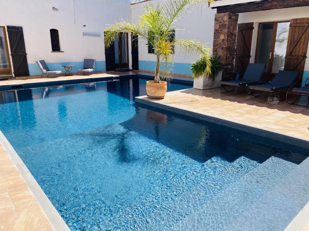 a blue swimming pool with a palm tree in it at Le Patio Bleu in La Crau