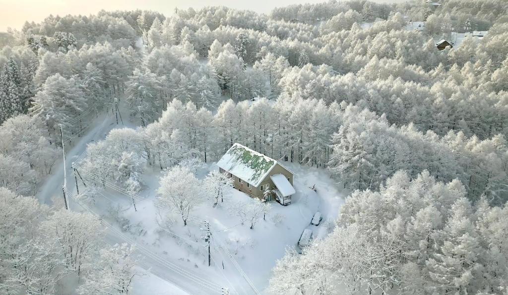 Echoland Madarao エコーランド斑尾 All en-suite rooms & a free 3-minute shuttle to the ski resort v zimě