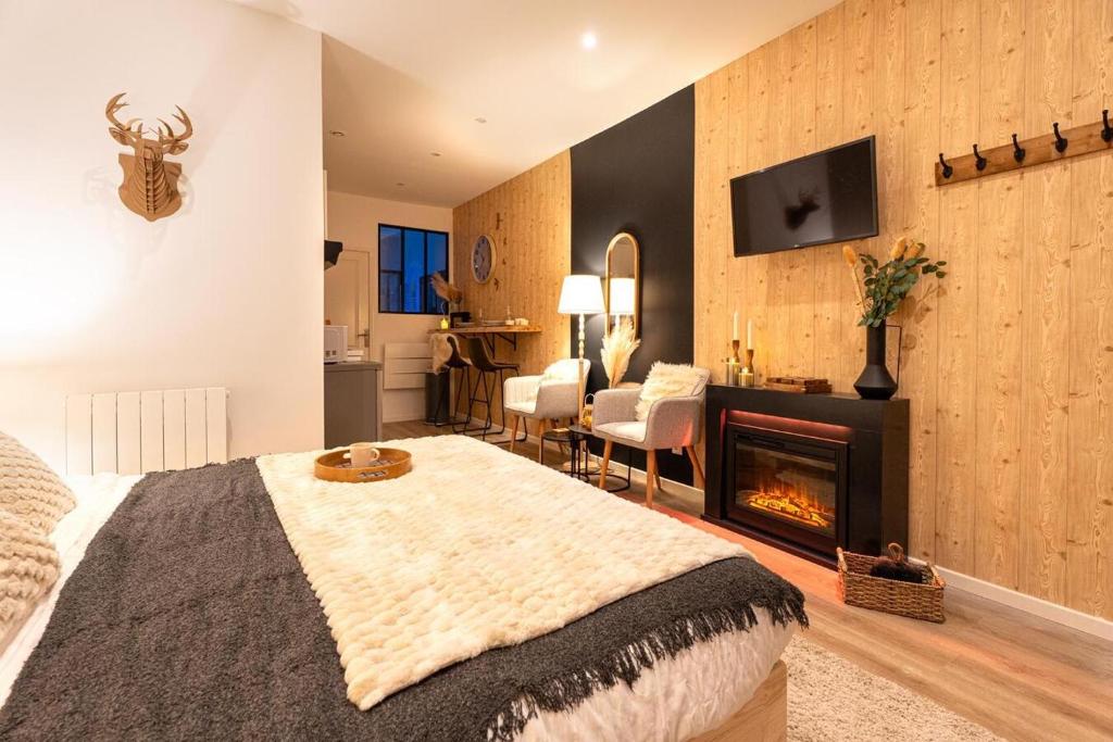 ein Schlafzimmer mit einem Bett und einem Kamin in der Unterkunft Le Nid Douillet, Center, Jacuzzi, Sensory Shower in Bordeaux