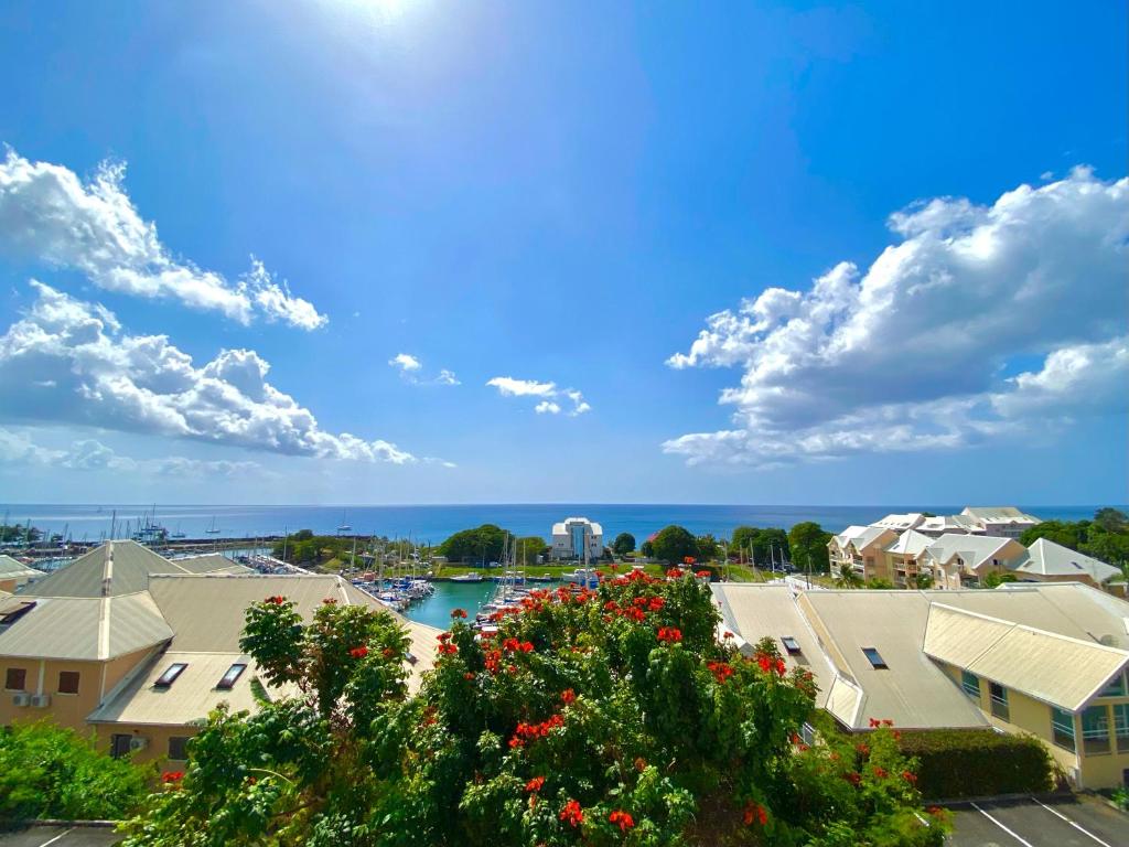 a view of a town with buildings and flowers at Mayani in Gourbeyre