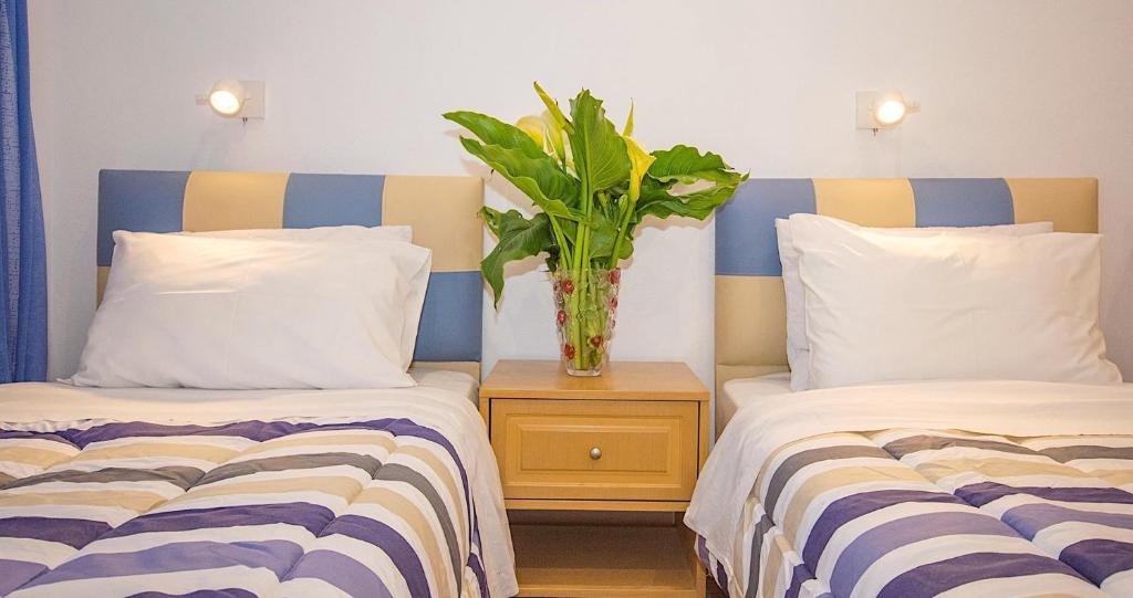 Pension Ageliki Kalogera - 8