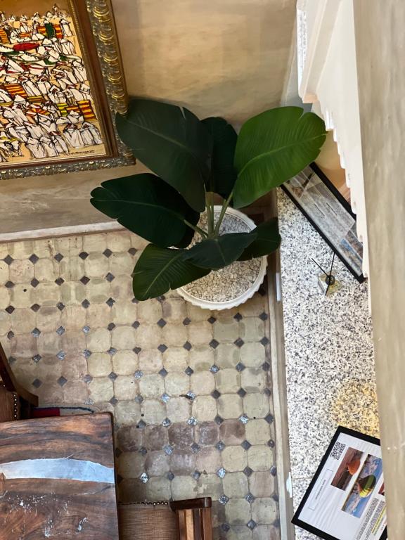 Fotografie z fotogalerie ubytování Riad dar malak v Marrákéši
