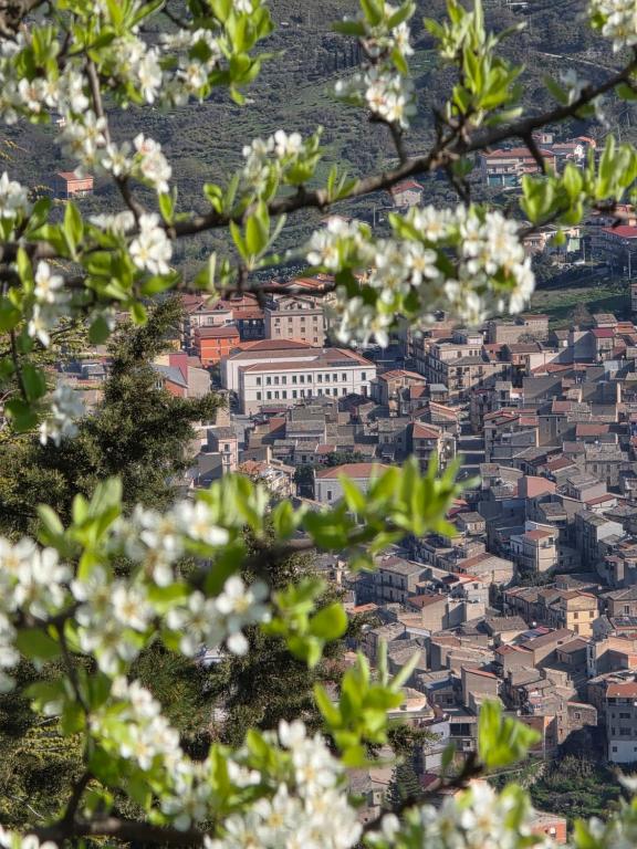 Ospitalità Melìa - Camera Quadrupla Con Bagno Privato