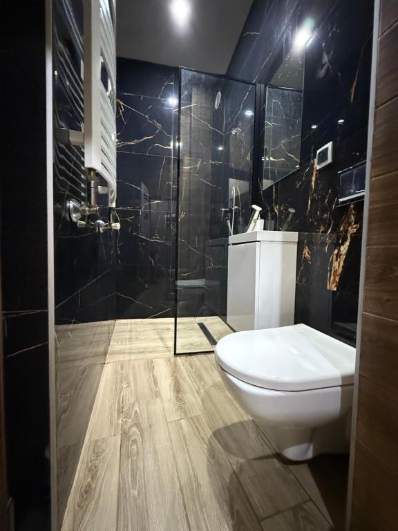 Kúpeľňa v ubytovaní Apartamenty Premium PRETTY WOMAN self check-in 24h - Bytom Chorzów Katowice