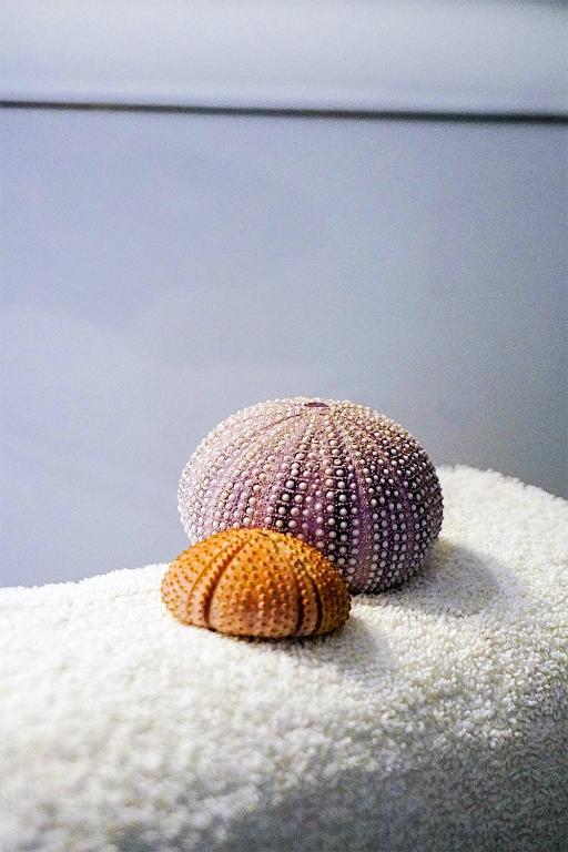 Pension Ageliki Kalogera - 4