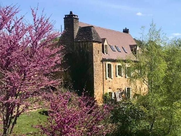 une vieille maison en briques avec un arbre devant elle dans l'établissement Maison de famille aux portes de Sarlat, à Proissans
