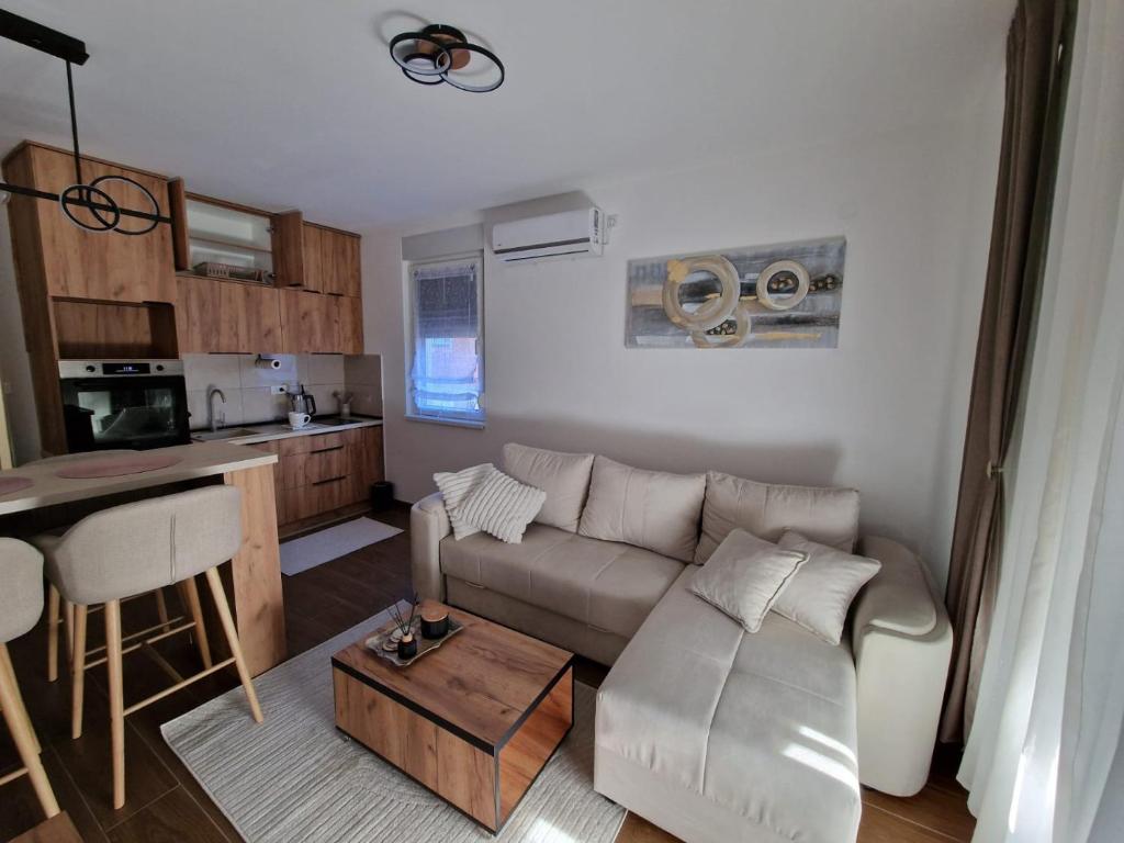 Kuchyň nebo kuchyňský kout v ubytování Apartman Miha Vrnjačka Banja