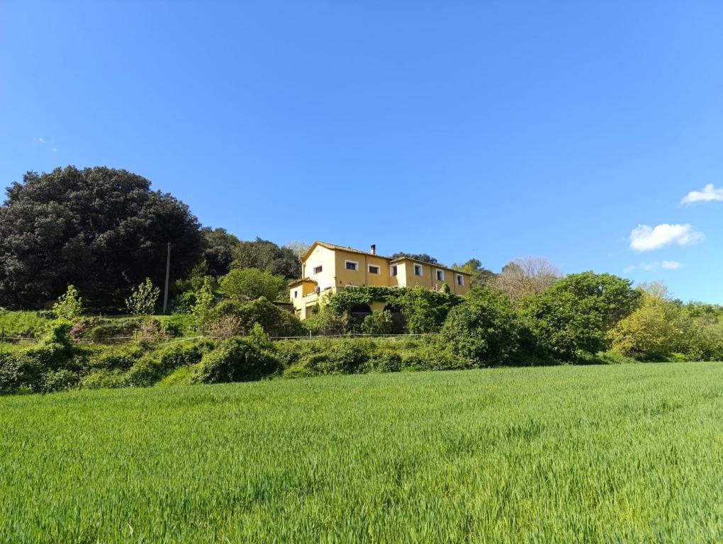 Příroda nedaleko bed and breakfast