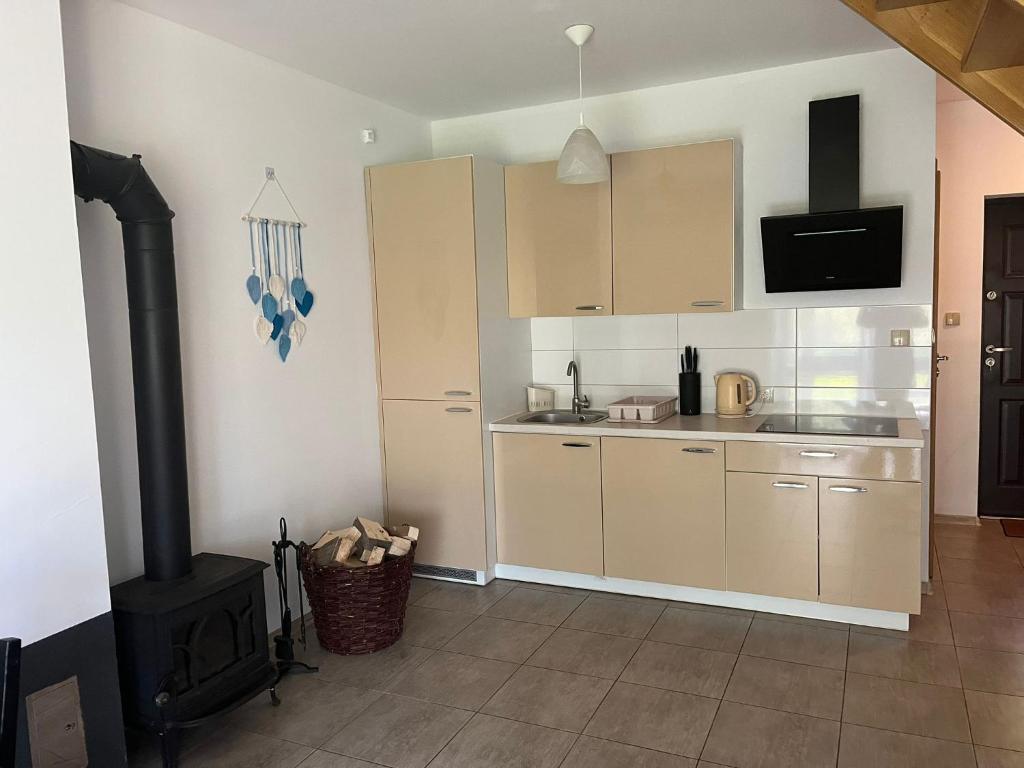 Kuchyňa alebo kuchynka v ubytovaní Apartamenty Adrenja