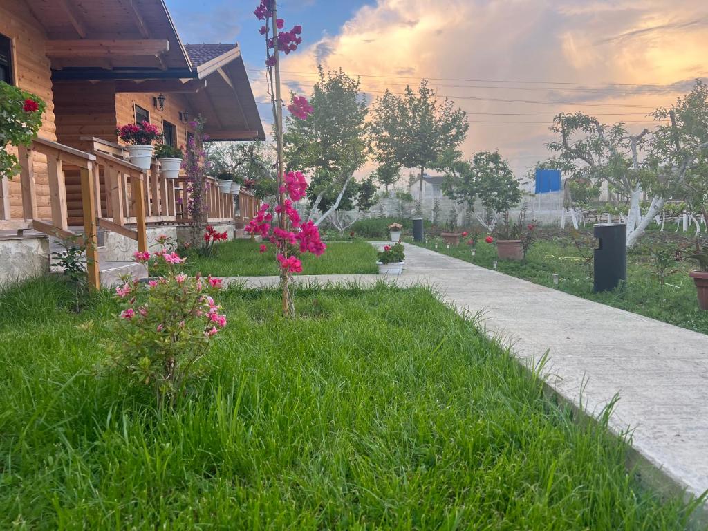 Zahrada ubytování Guest House Dimal Berat