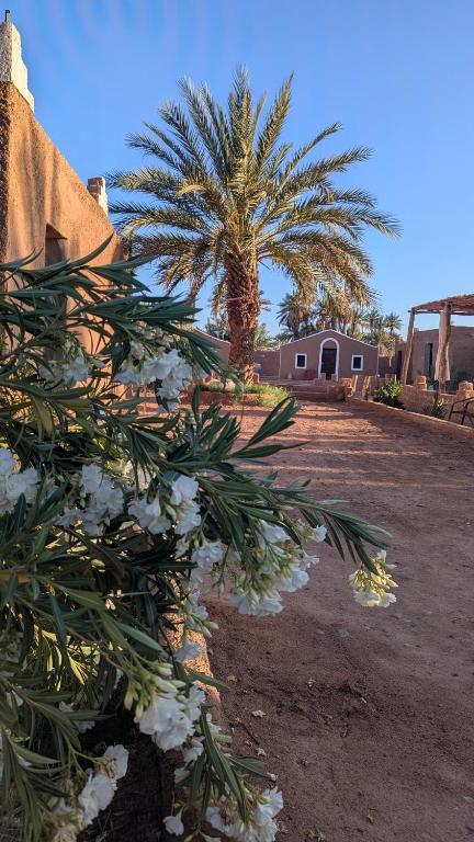 Aed väljaspool majutusasutust Kasbah Desert Camp