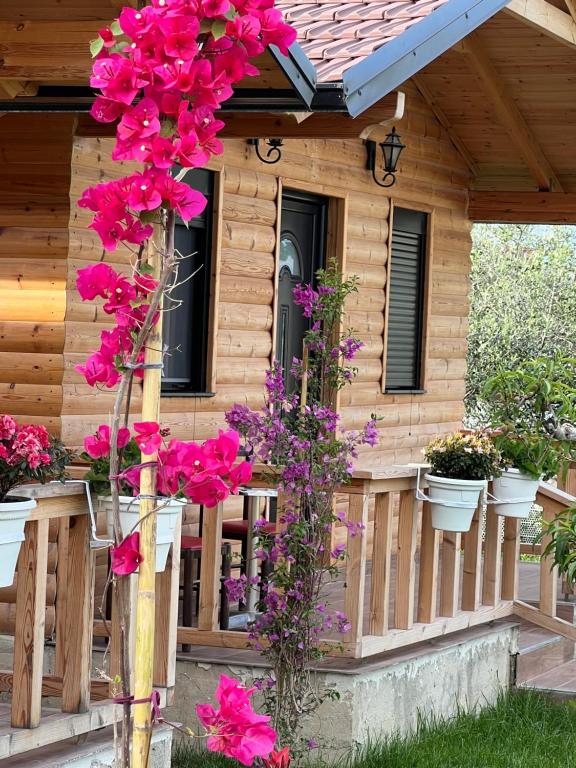 Zahrada ubytování Guest House Dimal Berat