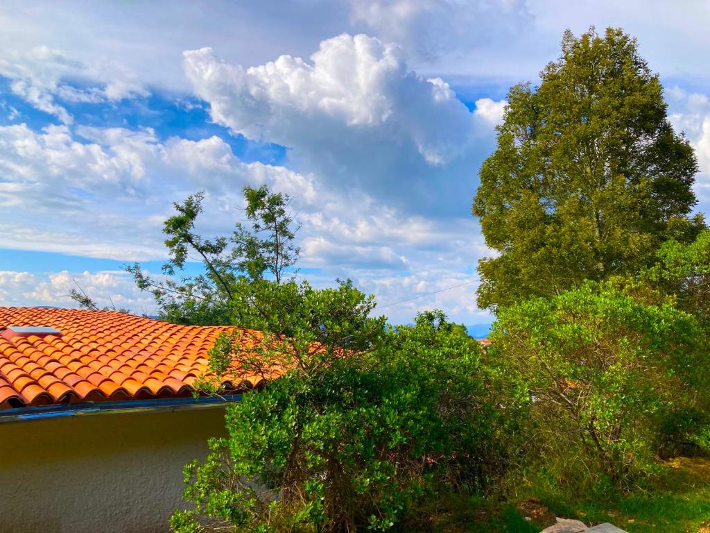 Příroda nedaleko apartmánu