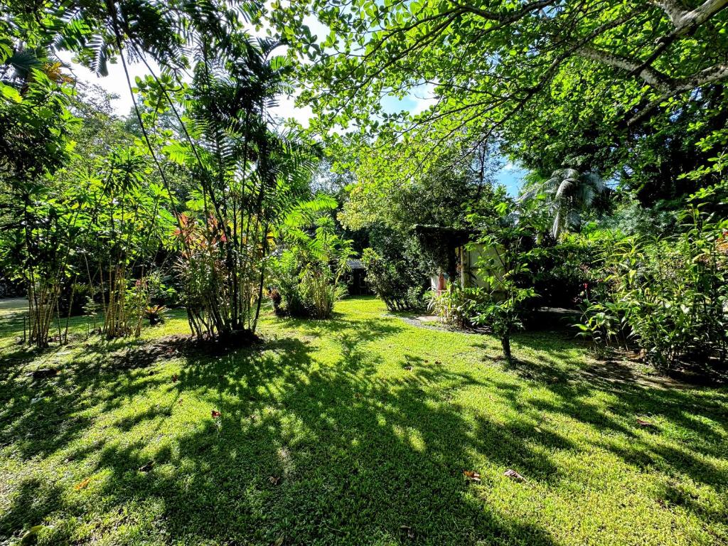 Zahrada ubytování Alby Lodge Cahuita