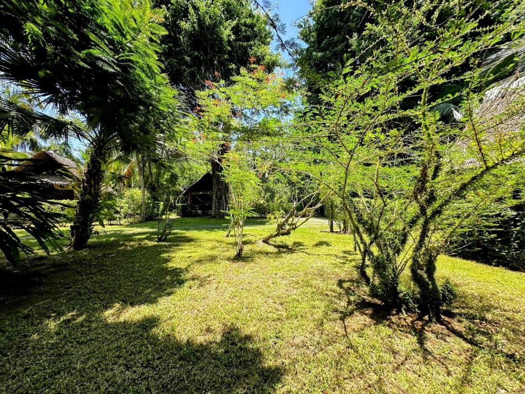 Zahrada ubytování Alby Lodge Cahuita