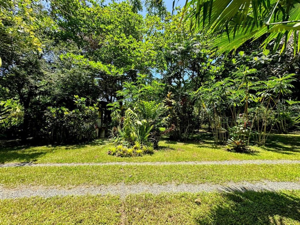 Zahrada ubytování Alby Lodge Cahuita