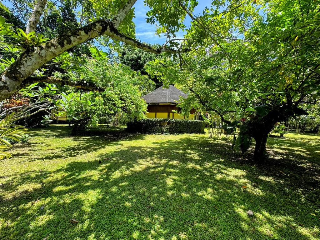Zahrada ubytování Alby Lodge Cahuita
