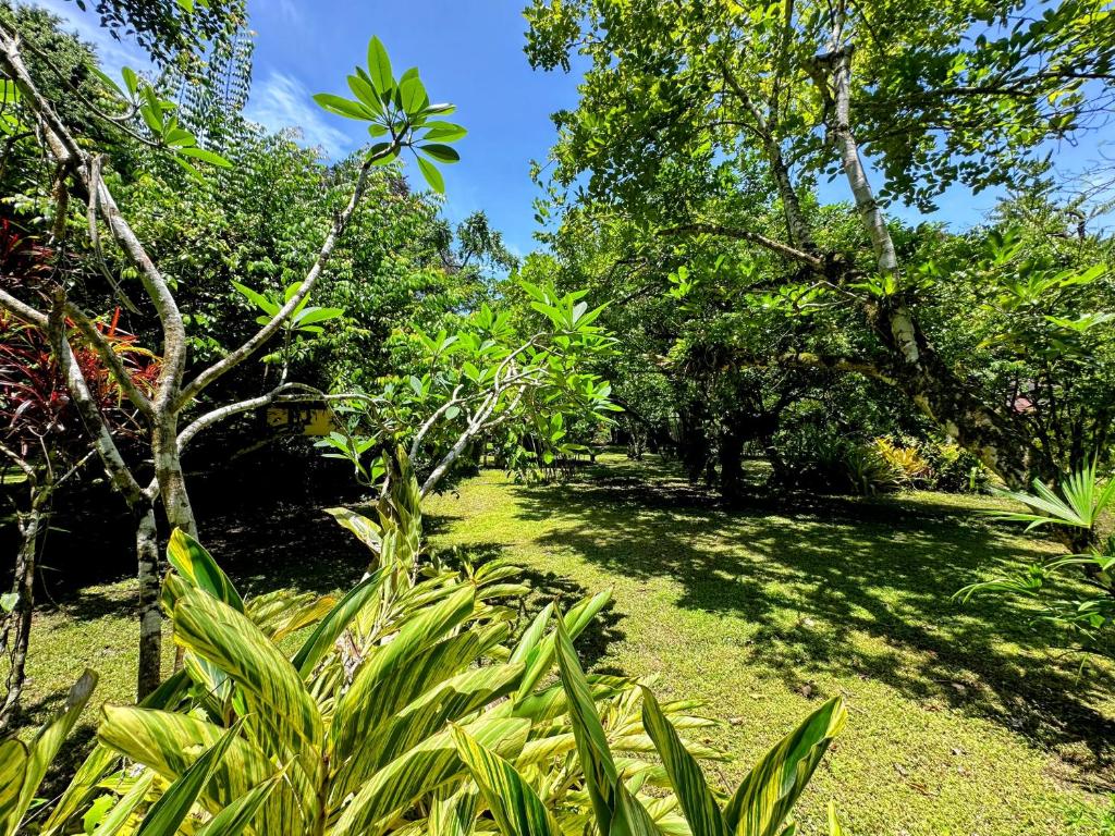 Zahrada ubytování Alby Lodge Cahuita