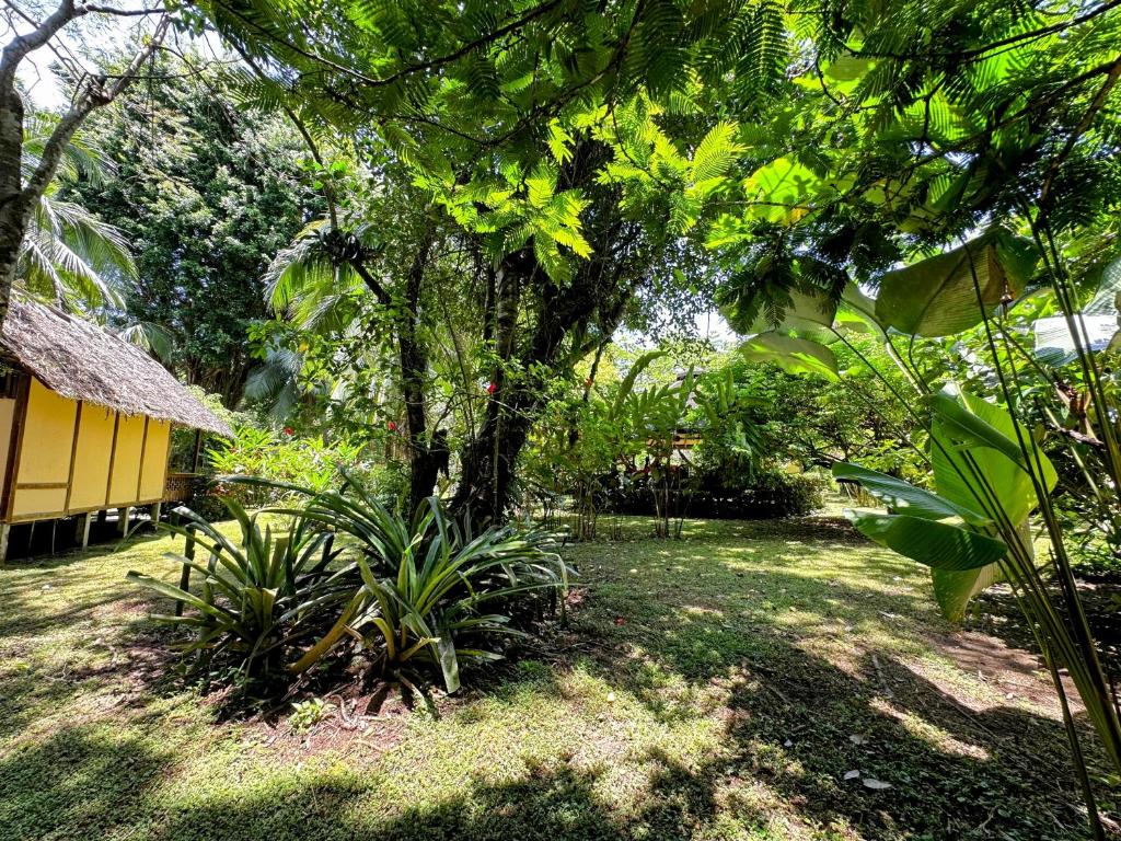 Zahrada ubytování Alby Lodge Cahuita