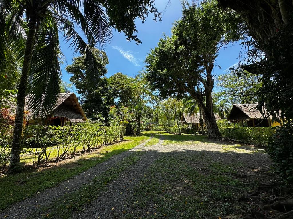 Zahrada ubytování Alby Lodge Cahuita