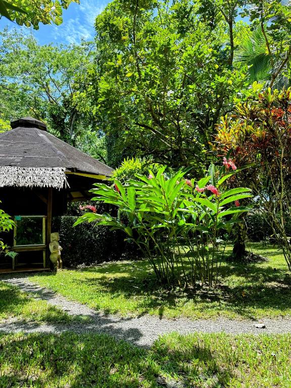 Zahrada ubytování Alby Lodge Cahuita