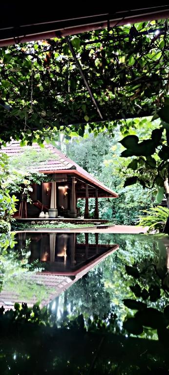 Zahrada ubytování Swasthi Serviced Villa