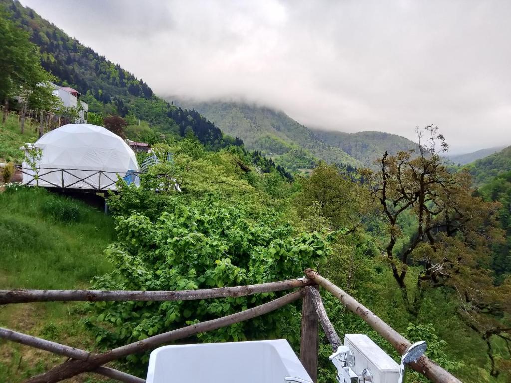 Příroda nedaleko luxury tent