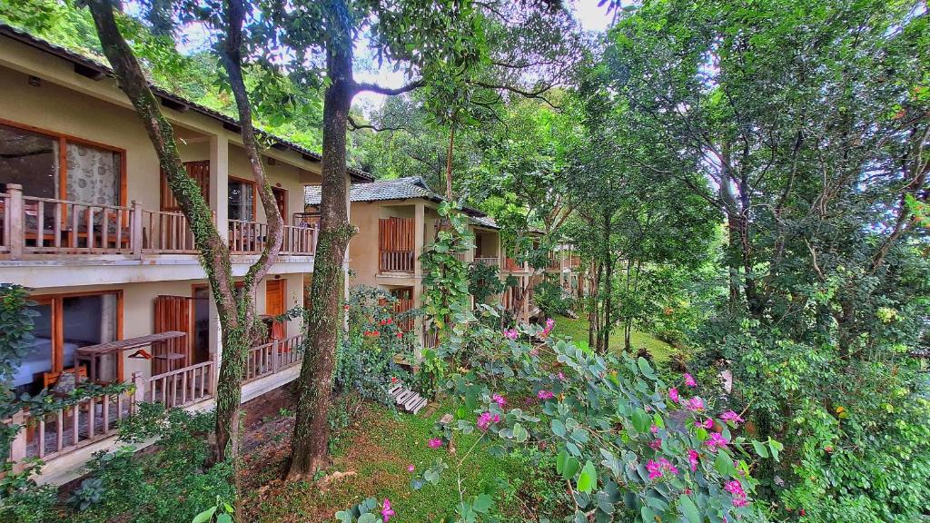 Vườn quanh Ancarine Beach Resort