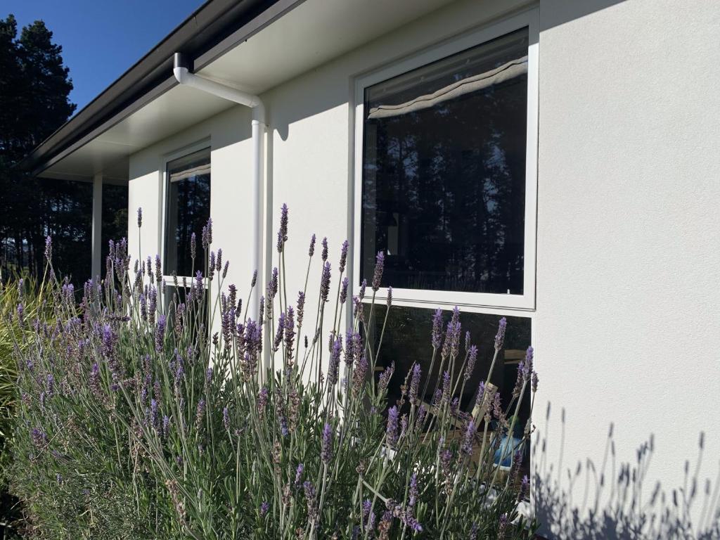 Garden Oasis - Resim 12