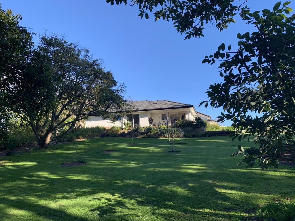 Garden Oasis - Resim 14