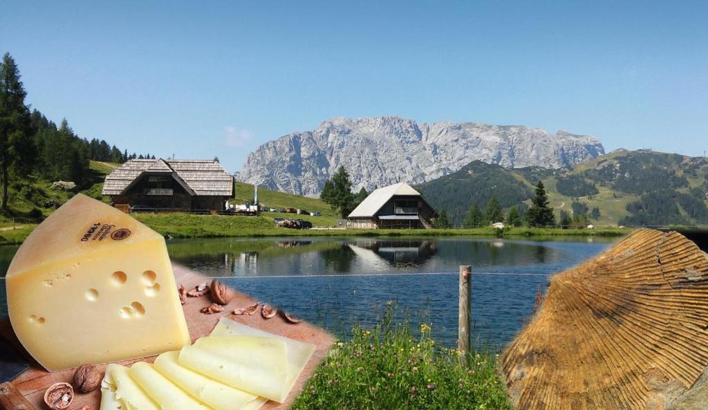 Príroda v okolí apartmánu