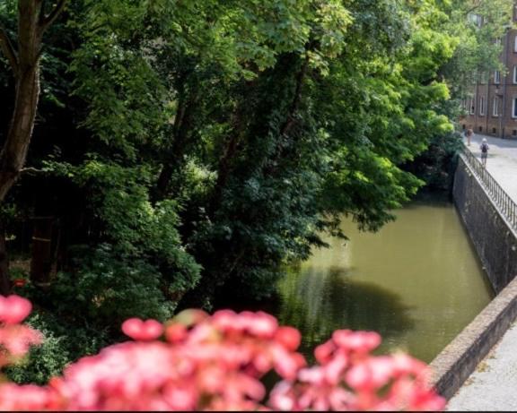 Hotel Entree - Canal View Bruges - Resim 18