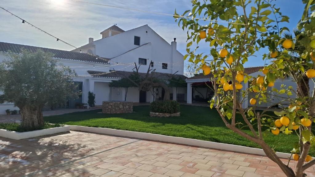 an orange tree in front of a white house at Alquería de Tajarja in Tajarja