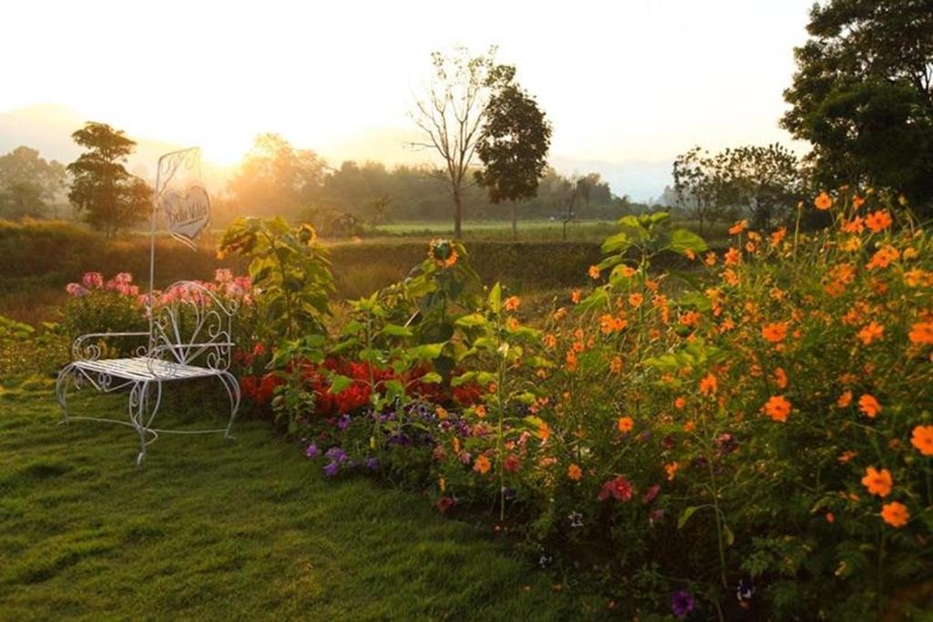 Zahrada ubytování Belle Villa Resort, Pai