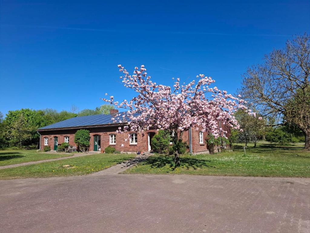 a house with a flowering tree in front of it at Farm-Chalets Apartment Park in Renzow