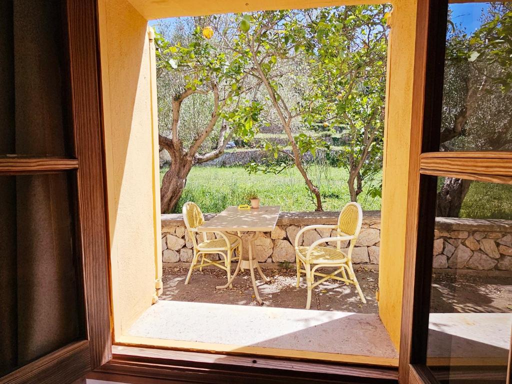 Zahrada ubytování Agroturismo Finca Can Sec