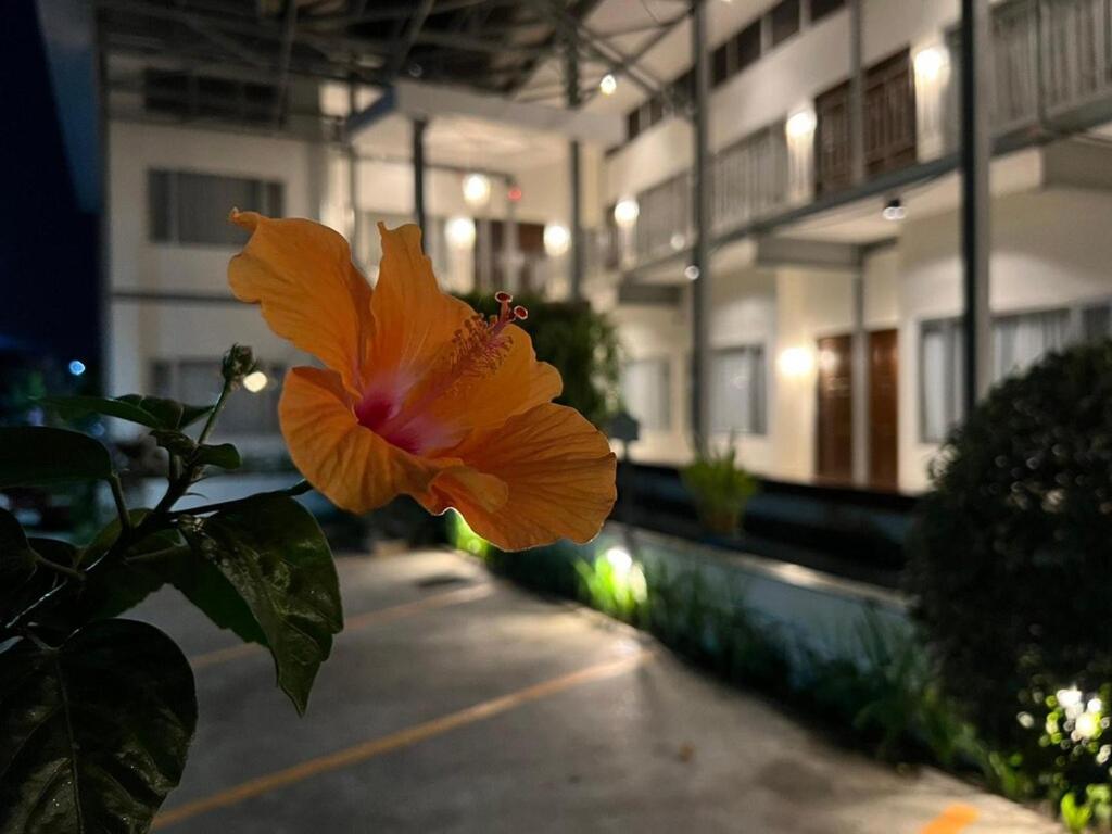 3B Boutique Hotel & Restaurant - Resim 1