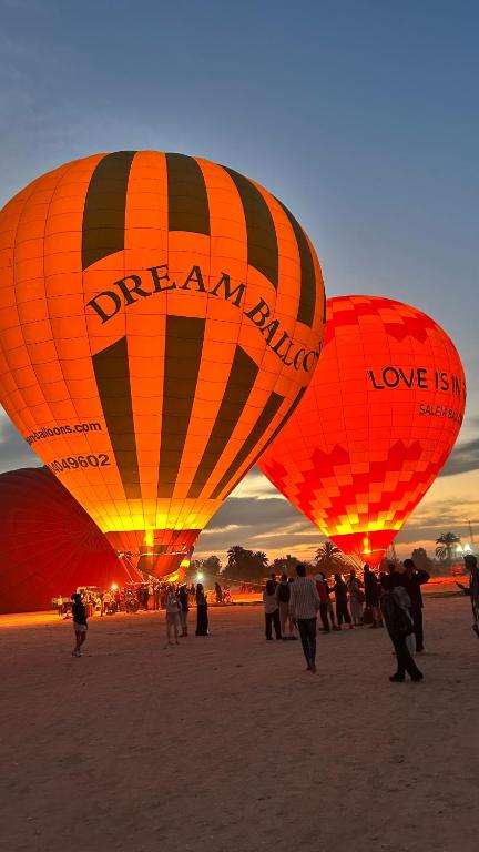 Luxor palace Apartments - 13