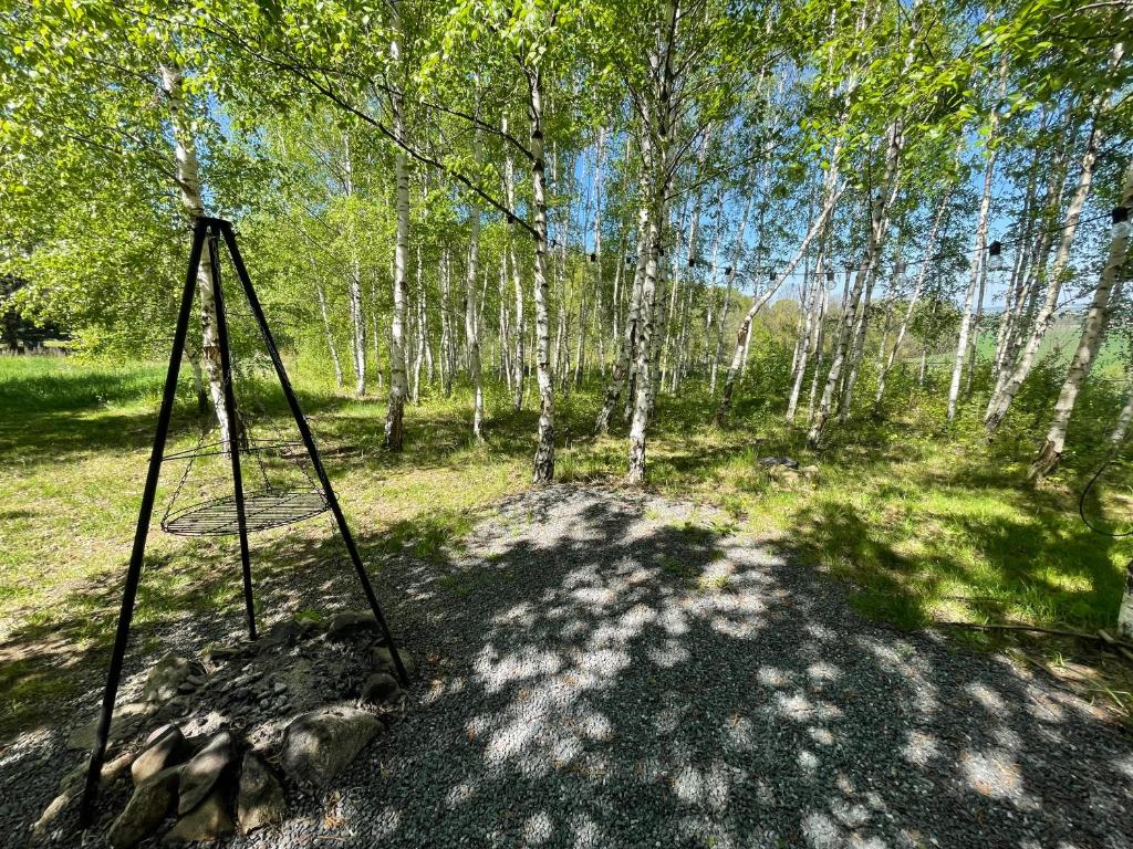 Príroda v okolí horskej chaty