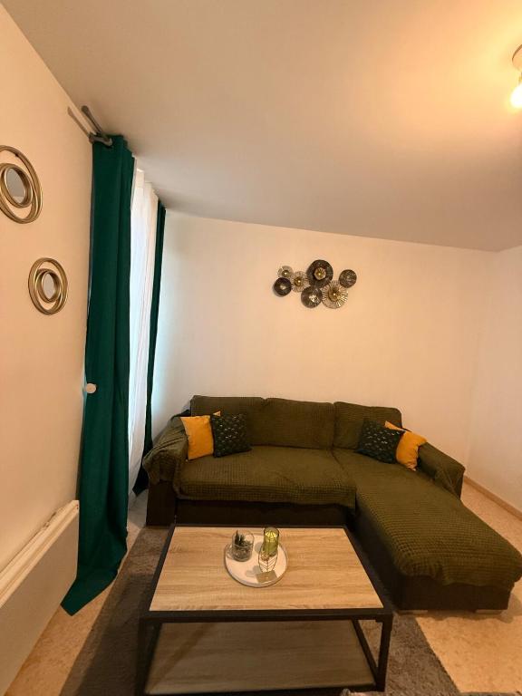 un salon avec un canapé vert et une table dans l'établissement Charming room apartment in a great location, à Thonon-les-Bains