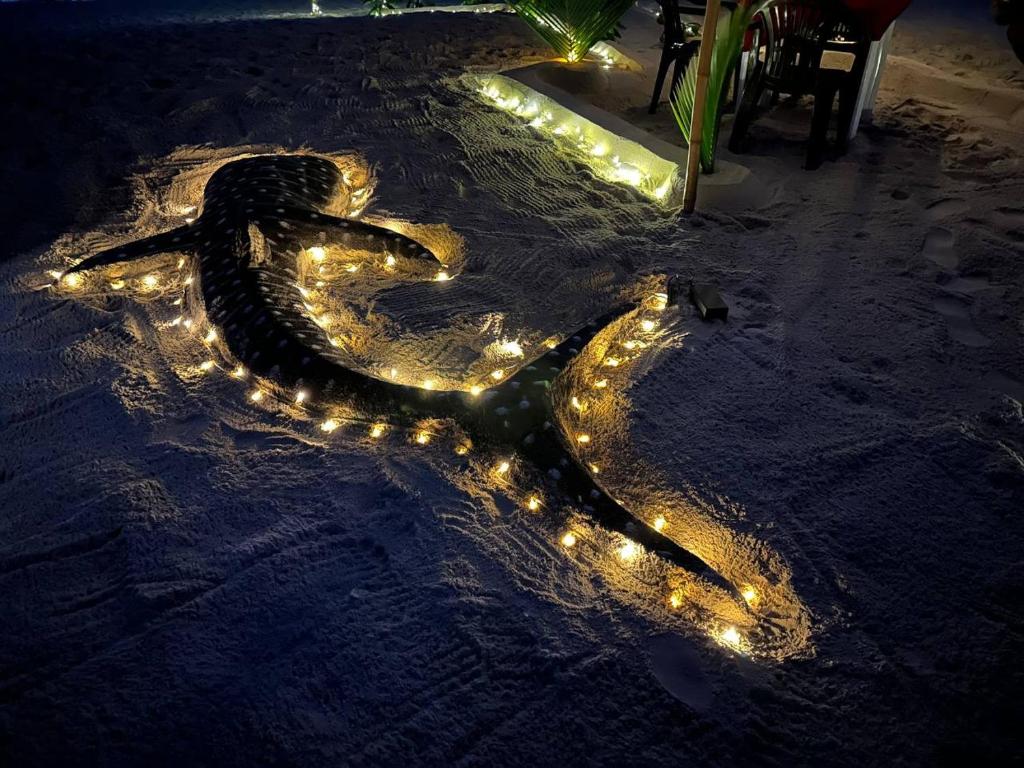 Fotografie z fotogalerie ubytování Dhoadhi Beach Maldives v destinaci Omadhoo