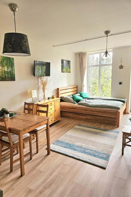 HamryにあるLesní apartmán Hamryのベッドとテーブルと机のある寝室