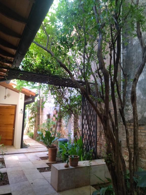 Zahrada ubytování Casa BuenaOnda Asunción